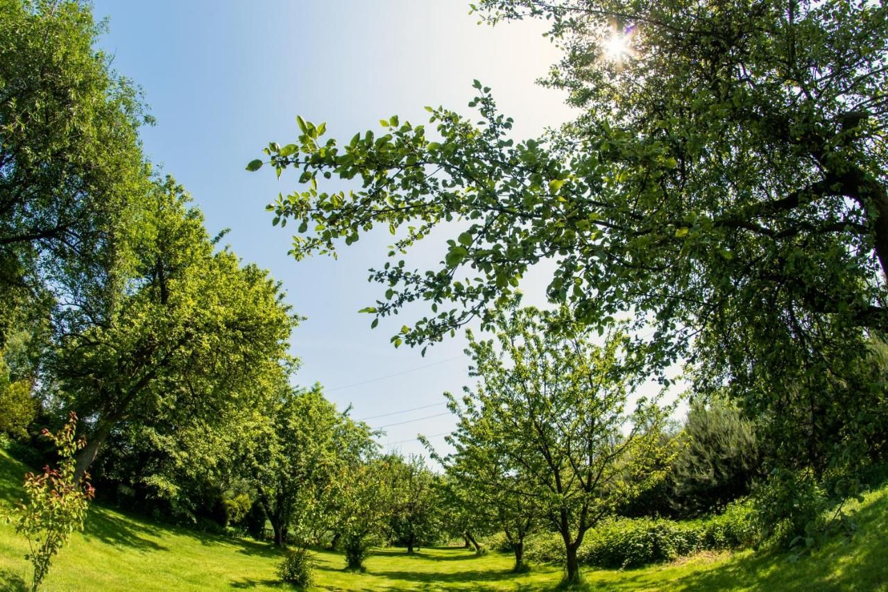 Фермерские дома Agroturystyka Oświęcim Skidzin-20